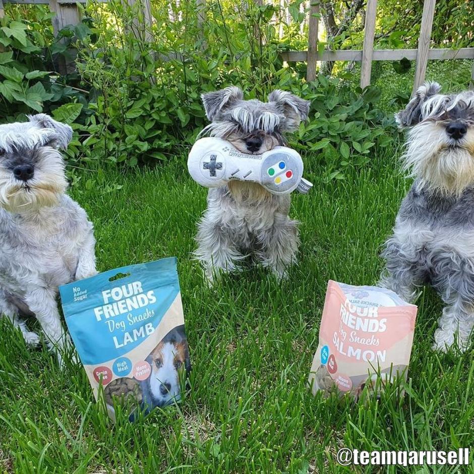 halvt Læs Addiction Køb FourFriends Dog Snacks til din hund | Tinybuddy