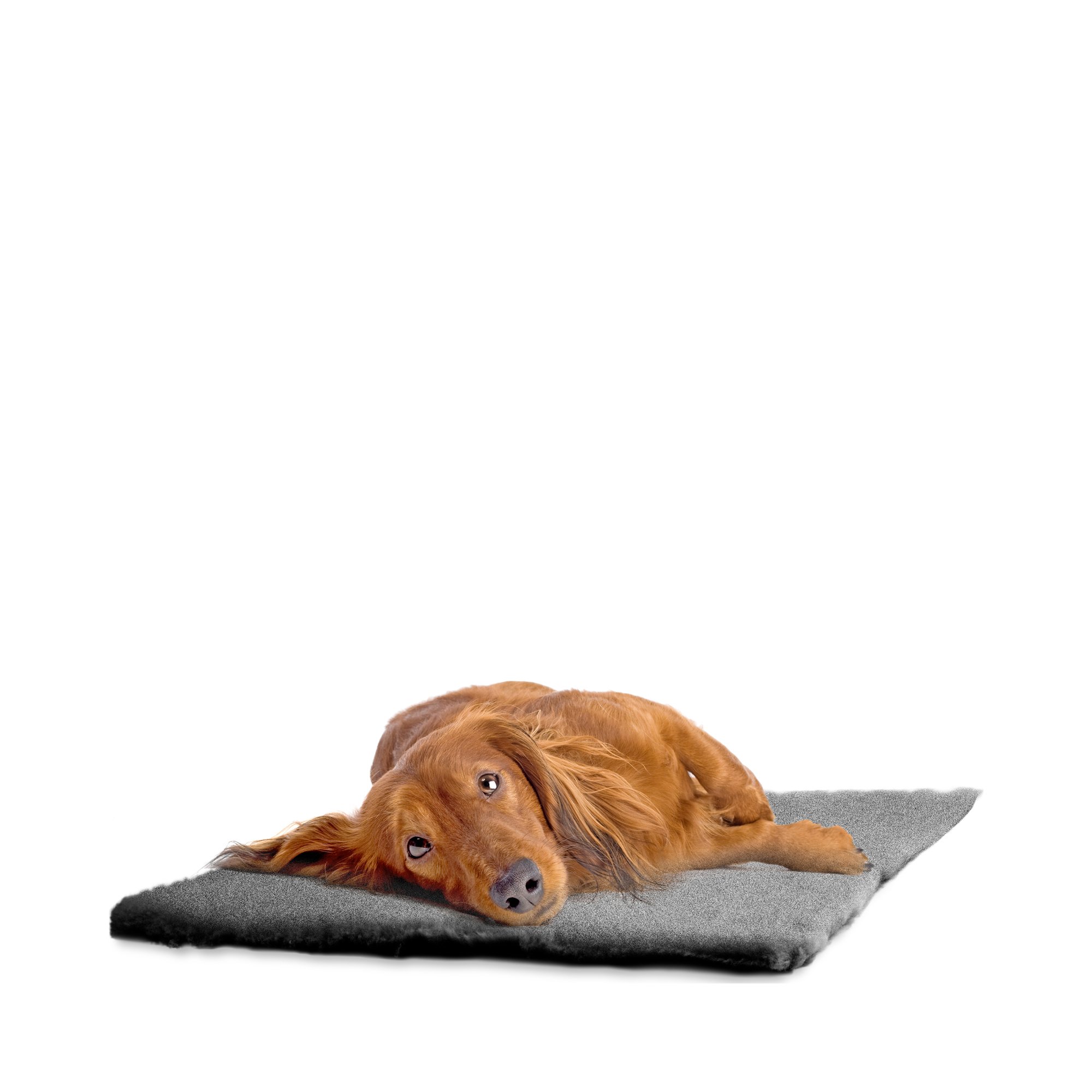 Malva Hundemåtte Grå - 100x150 cm