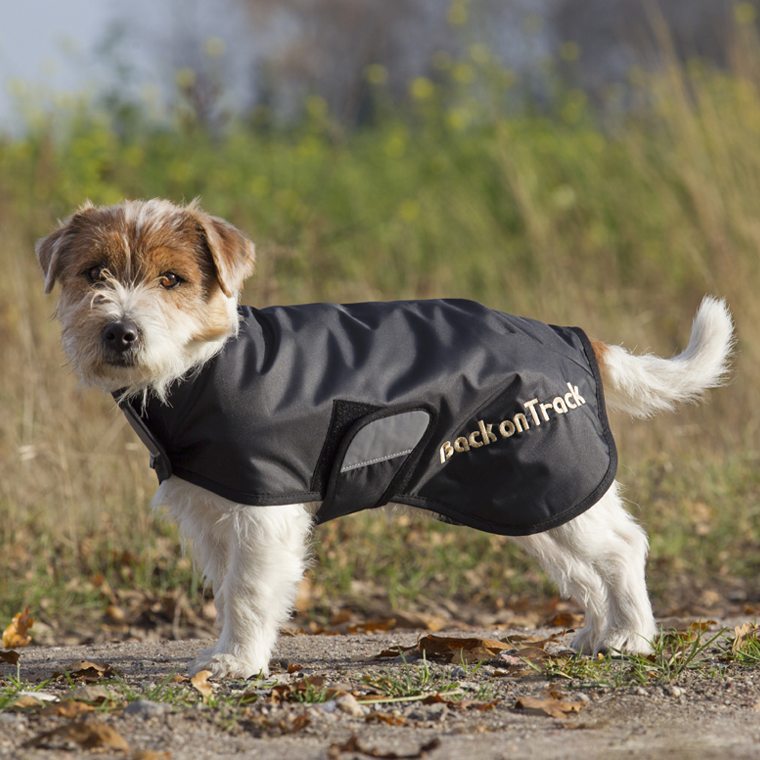 Etablere Army Den sandsynlige Køb Back on Track Hugo Hundedækken til din hund | Tinybuddy