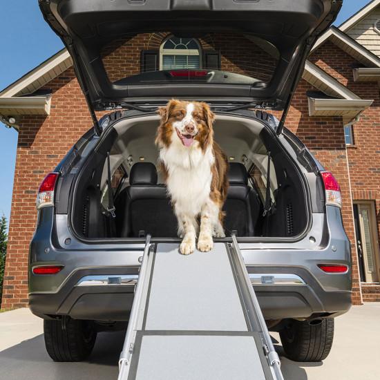 Forfalske Fremme ingeniørarbejde Køb PetSafe Teleskoprampe til Bil til din hund | Tinybuddy
