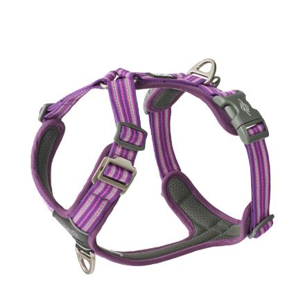 Dog Copenhagen Comfort Walk Air Harness Purple Passion 2024
