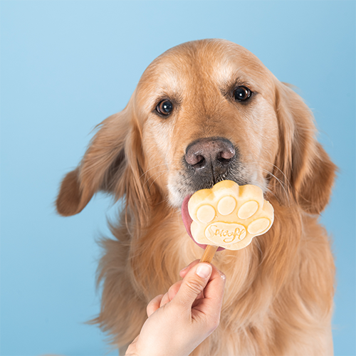 minimal ukendt Seletøj Køb Smoofl Isblanding til Hunde Crazy Peanut Butter | Tinybuddy